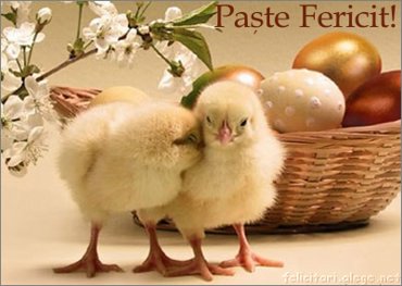 Paste Fericit!